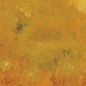 Bevel - Where Leaves Block the Sun  CD